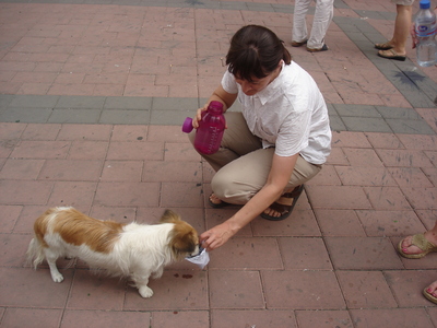 Nice woman giving the dog some water to drink.